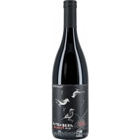 Merlot Altenberg - Pittnauer