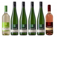 Verkostungspaket 12 Fl