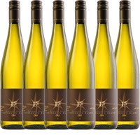 6er Vorteils-Weinpaket - Sauvignon Blanc - Ellermann-Spiegel