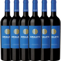 6er Vorteils-Weinpaket - Amalaya Tinto - Bodega Colomé