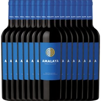 15er Vorteils-Weinpaket - Amalaya Tinto - Bodega Colomé