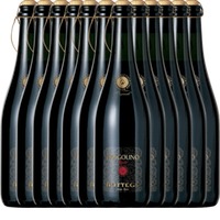 12er Vorteilspaket - Fragolino Rosso Frizzante - Bottega