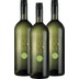 3er Paket - Pinot Grigio 1,0 l - Villa Santa Flavia 
