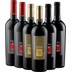 6er Kennenlernpaket - TANK Weine von Cantine Minini 