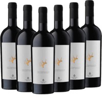 6er Vorteils-Weinpaket - Settebraccia Rosso - Cantina Sampietrana