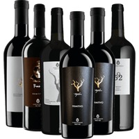 6er Kennenlernpaket - italienische Rotweine von Cantina Sampietrana