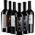 6er Kennenlernpaket - italienische Rotweine von Cantina Sampietrana 