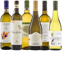 Sommer Spezial Probierpaket Biowein