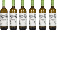 Sauvignon Blanc Südsteiermark DAC im 6er Vorteilspaket