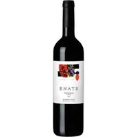 Enate Tempranillo DO