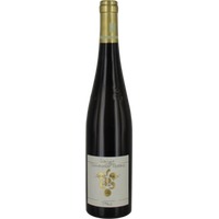 Ganz Horn - Im Sonnenschein Riesling GG