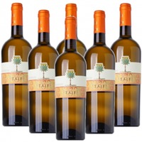 6 Fl. Taif I.G.P. Terre Siciliane vom Cantine Fina
