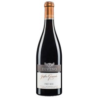 DIVINO Pinot Noir