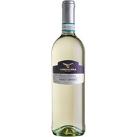 Campagnola Pinot Grigio del Veneto