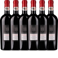 6er Vorteils-Weinpaket - Appassimento - Conte di Campiano