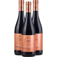 3er Vorteils-Weinpaket - Appassimento Negroamaro Primitivo - Luna Argenta