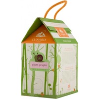 Pinot Grigio IGP Lunaria Bag in Box 3l