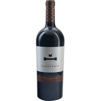 Primitivo Salento IGT Magnum