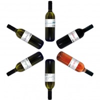 LWUKK Lernen Wir Uns Kennen Karton