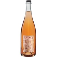 Lambrusco di Modena DOC Radice
