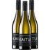 3er Vorteils-Weinpaket - Kaitui Sauvignon Blanc - Markus Schneider 