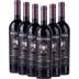 6er Vorteils-Weinpaket - Barbera Appassimento DOC - Ricossa 