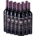 12er Vorteils-Weinpaket - Barbera Appassimento DOC - Ricossa 
