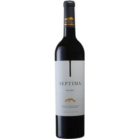 Septima Malbec online kaufen | Malbec Rotwein kaufen