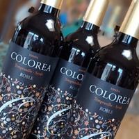 Camina Roble Tempranillo-Syrah