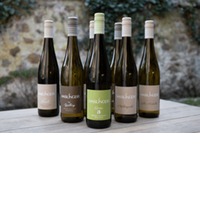 großes Veltliner Paket