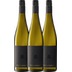 3er Vorteils-Weinpaket - Sauvignon Blanc - Groh 