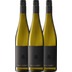 3er Vorteils-Weinpaket - Grauburgunder - Groh 