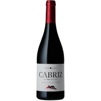 Cabriz Colheita Selecionada Tinto