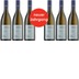 Sauvignon Blanc Therese im 6er Pack 