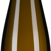 Grüner Veltliner Ried Käferberg 1ÖTW Erste Lage