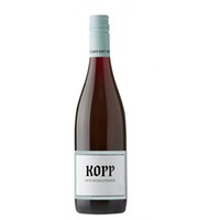 Weingut Kopp Spätburgunder Rotwein trocken