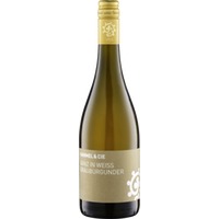 Weingut Hammel Grauburgunder Ganz in Weiß trocken, Pfalz - Deutschland