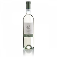 Pinot Grigio Delle Venezie DOC Vitis Nostra 0,75l 12% - | Enoitalia