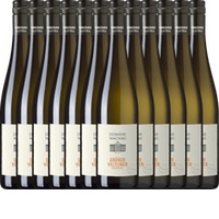 12er Vorteils-Weinpaket - Grüner Veltliner Federspiel Terrassen - Domäne Wachau