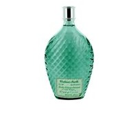 Rochelt Wachauer Marille 0,1 l Flachmann , Tirol Österreich (inkl. 2,40 EUR Pfand)