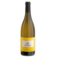 Etna Bianco D.O.C. 2020 - Murgo