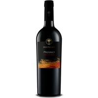 'Priamo' Nero di Troia Salento trocken