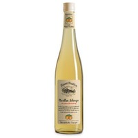Hauser Tradition Marillen-Schnaps mit echtem Bienenhonig