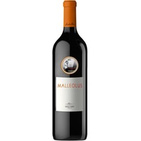 Malleolus Emilio Moro