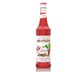 Monin Sirope Spicy 