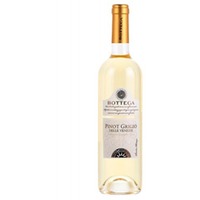 Bottega Pinot Grigio