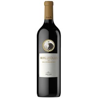 Malleolus Valderramiro