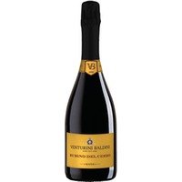 Venturini Baldini Lambrusco Spumante Rosso Brut Rubino del Cerro Reggiano DOC 0,75 ℓ