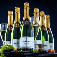 Crémant de Loire Excellence Brut
