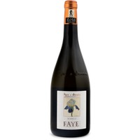 Bianco FAYE Vigneti delle Dolomiti IGT